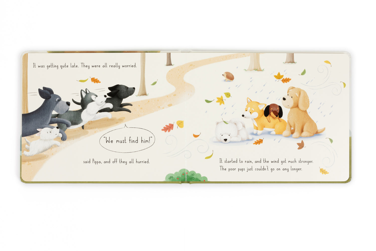 Munro In The Middle Book